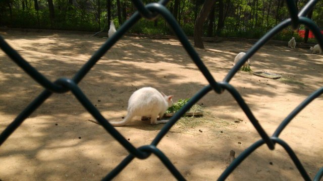 跑马岭生态休闲度假区