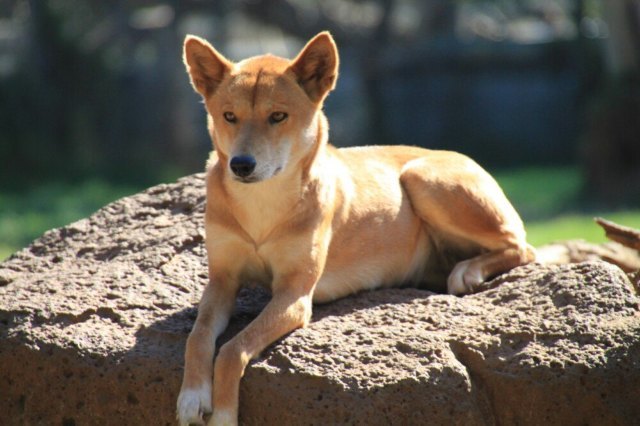 道格拉斯港野生动物栖息地