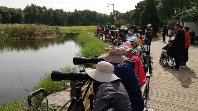 白洋淀梦里水乡