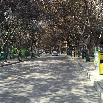 圆通寺旅游景点攻略图