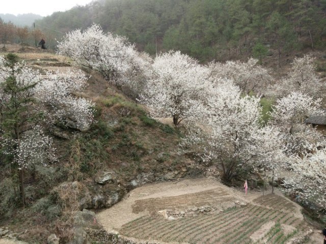 郧西天河旅游区
