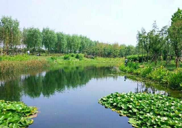 泰山村龙翔千稼集旅游风景区