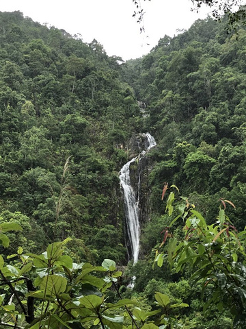 "到了海南都知道，吃在海口，玩在三亚，住在五指山，五指山全面气温24度左右，水满乡更是仙境一样美丽动人_五指山水满河热带雨林风景区"的评论图片