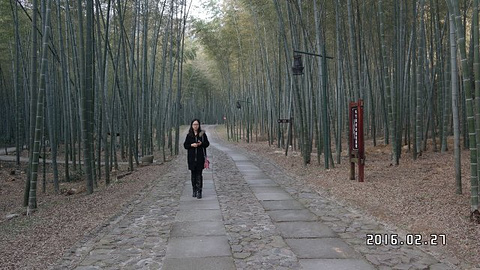 黄公望隐居地旅游景点攻略图