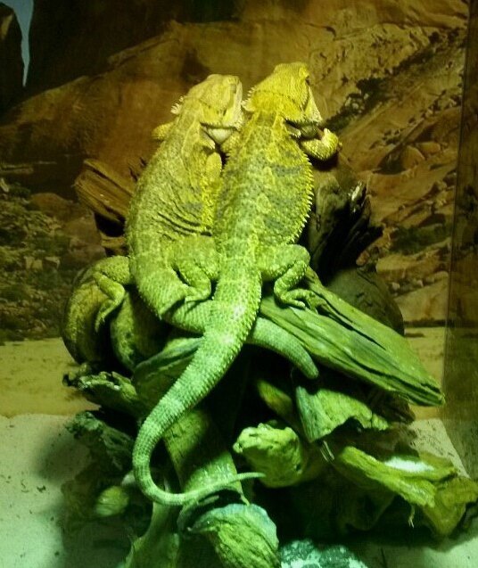 一山Aqua Planet水族馆