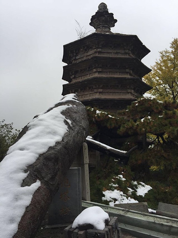 "_戒台寺"的评论图片