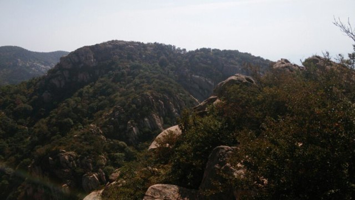 "_沂蒙山旅游区沂山景区"的评论图片