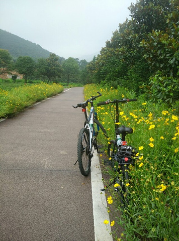 "_龙池山"的评论图片