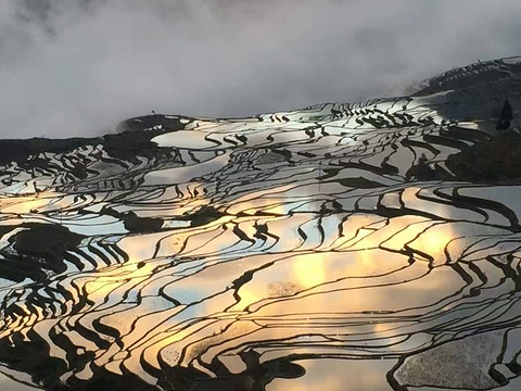 多依树梯田旅游景点攻略图