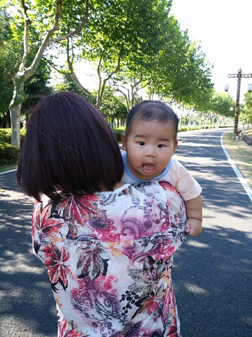 "带着小孩子非常累啊，风景倒还不错，空气也不错，周边没啥吃的，有个游乐园，小小摩天轮，路上花的时..._龙背山森林公园"的评论图片