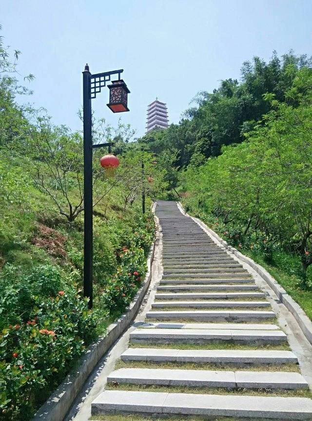 何仙姑旅游景区