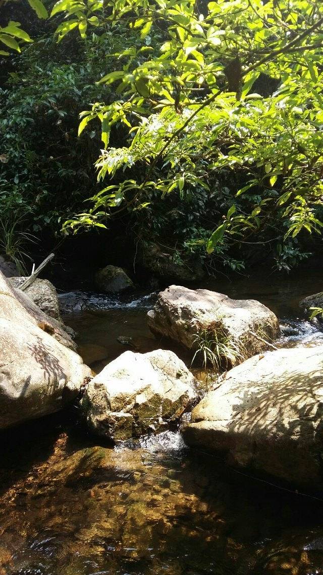 黄金沟森林旅游景区