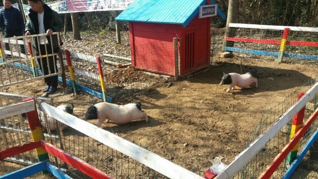 湖北太子山狩猎文化主题乐园