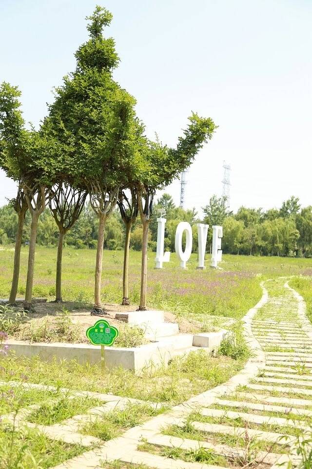 醉美西湖观光游乐园