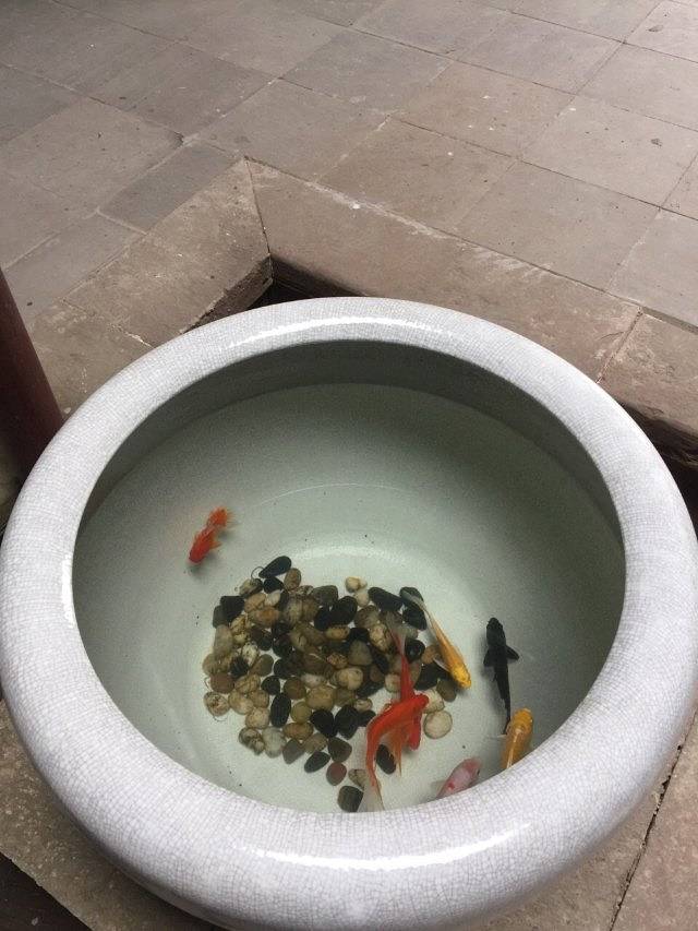 江西明清古民居博览园