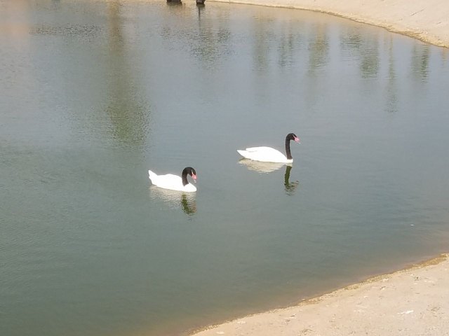 万安山野生动物欢乐世界