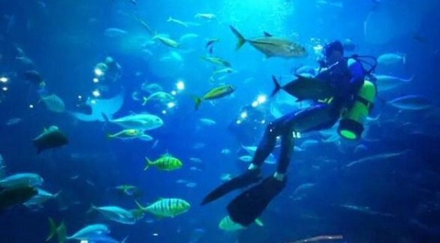 一山Aqua Planet水族馆