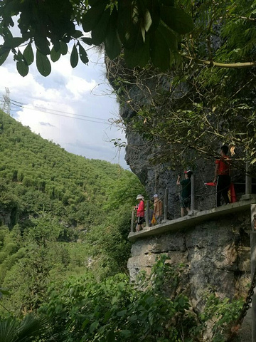 "由于夏天天气酷暑炎热，越往上走越累，不一会儿，已是汗流浃背了到了高处往下看，山谷两侧，处处是断崖绝壁_华东大裂谷"的评论图片