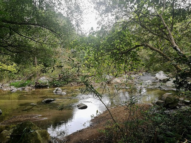 "雨林边缘开辟的一小片地方，风景优美，入口处可以眺望一下五指山，面积不大，2-3小时就转完了，有..._五指山水满河热带雨林风景区"的评论图片