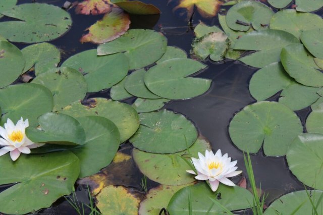 汀江国家湿地公园