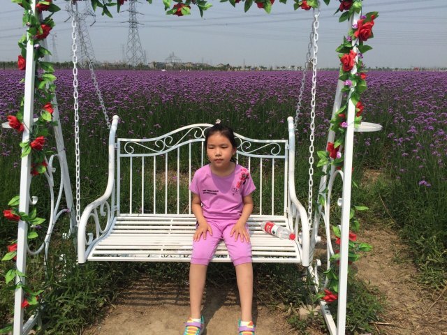 常州薰衣草庄园