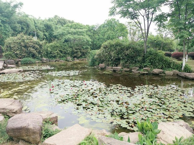 马鞍山森林公园