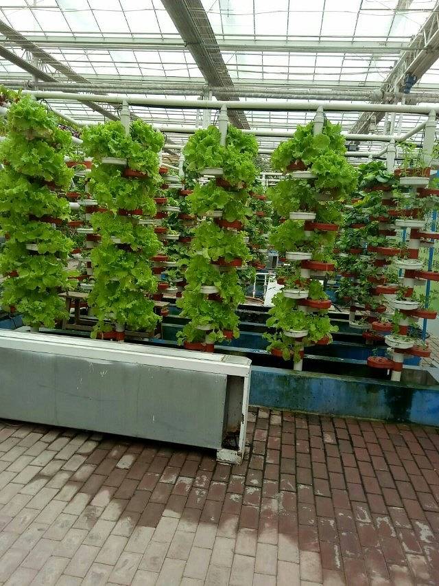 宁夏农旅产业园