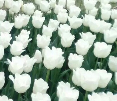 龙架山森林公园