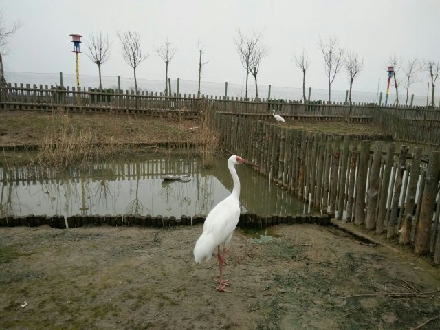 盐城大丰港动物园