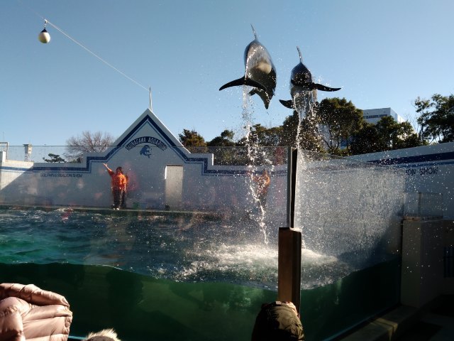 品川麦克赛尔水族馆