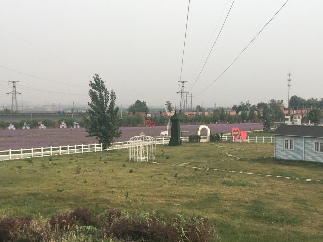 紫海芳庭薰衣草庄园