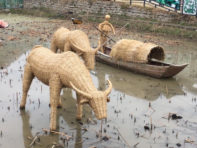 筋竹涧农业观光园