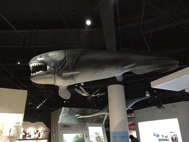 直立人化石遗址博物馆