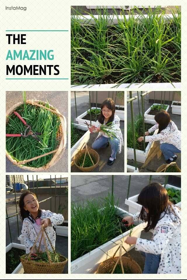 小蜜蜂农场(凯德七宝购物广场七莘路店)