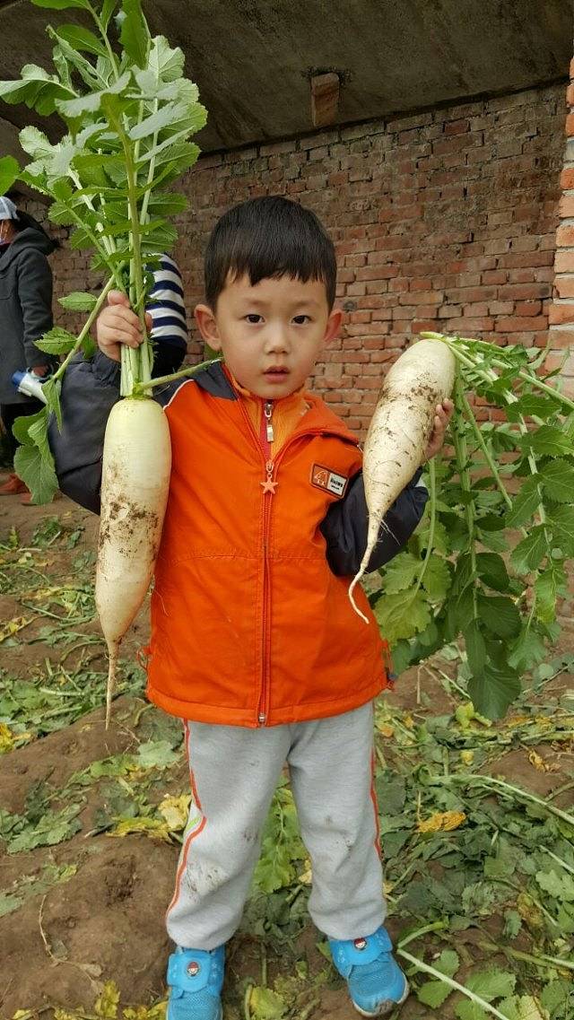 留民营生态科普公园