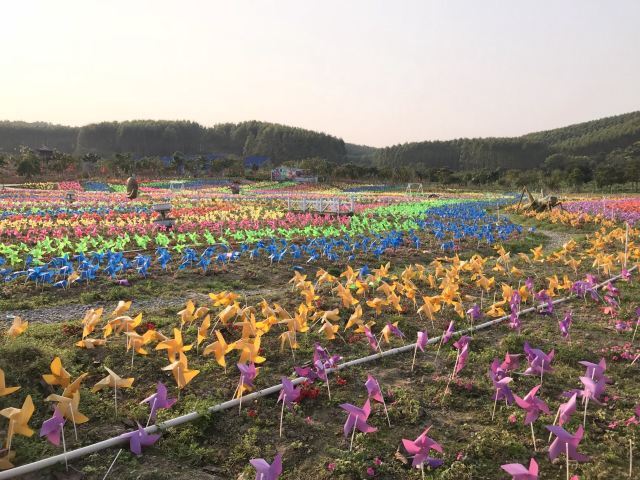 南宁花雨湖生态休闲旅游区