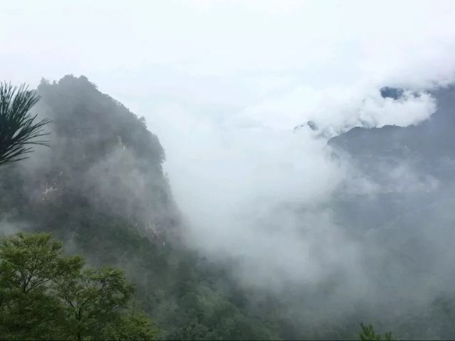 略阳五龙洞国家森林公园