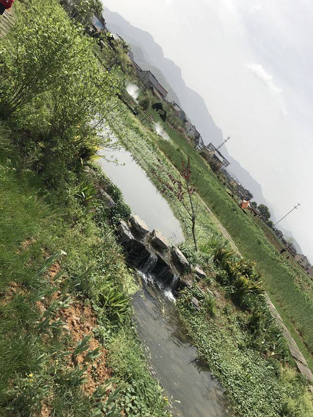 荻浦花海欢乐世界