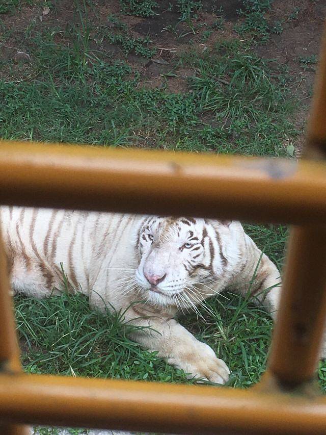 盐城大丰港动物园