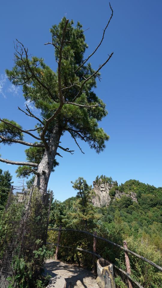 小兴安岭国家地质公园(桃山园区)