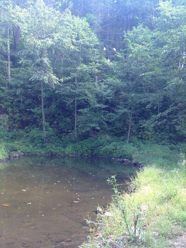 小东沟原始森林