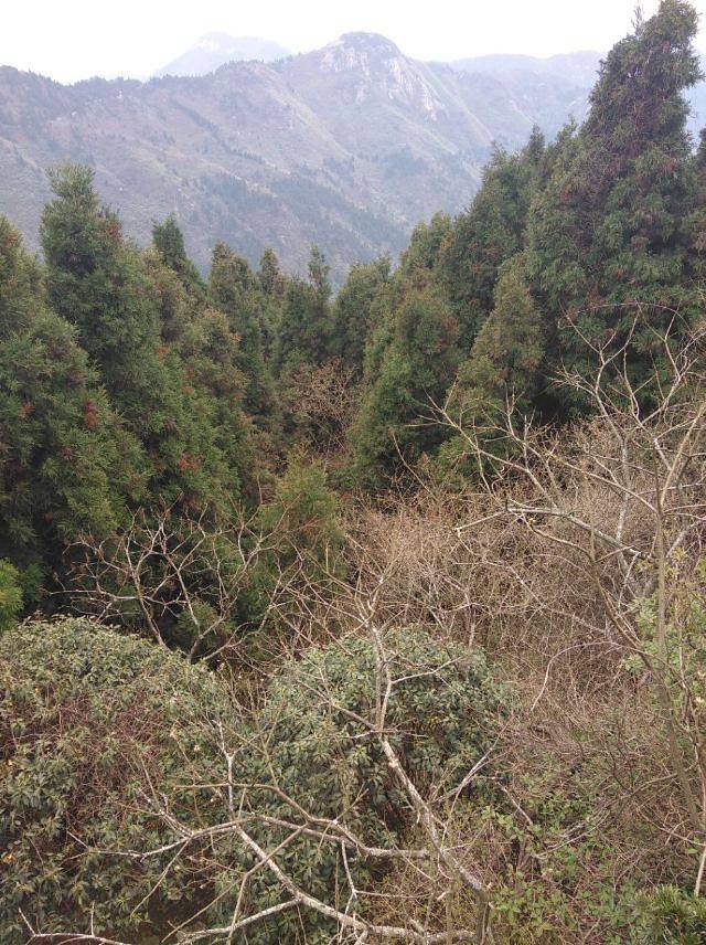 罗山湖四季温泉小镇