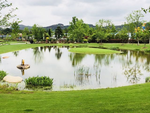 龙虎山花语世界景区