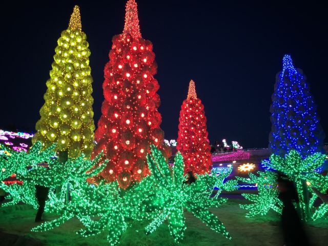 百草坡森林植物园