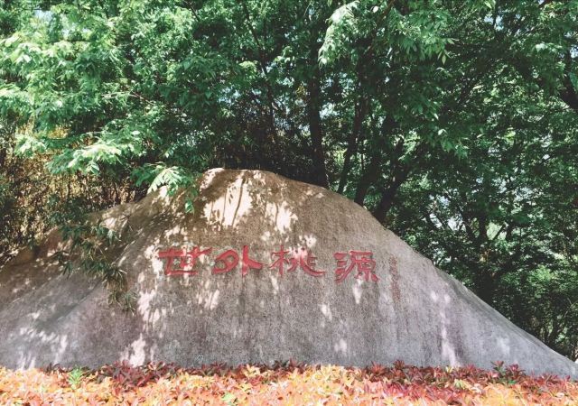 苏州中国花卉植物园