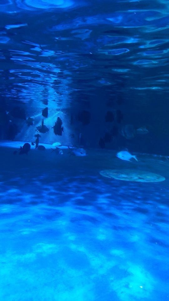 甜甜湾乐园(益阳海洋城店)