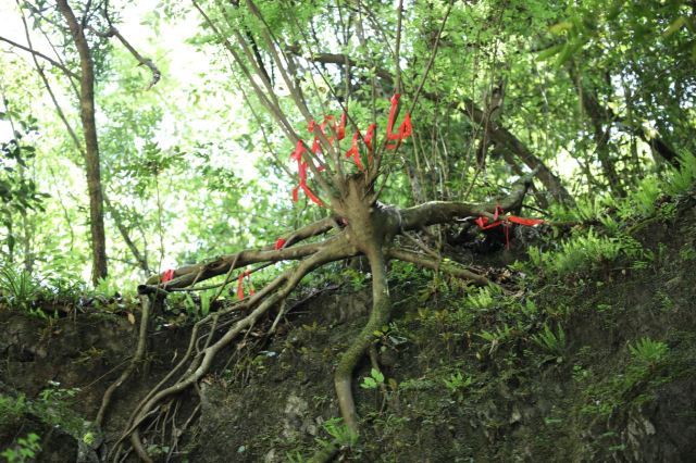 神农大峡谷景区