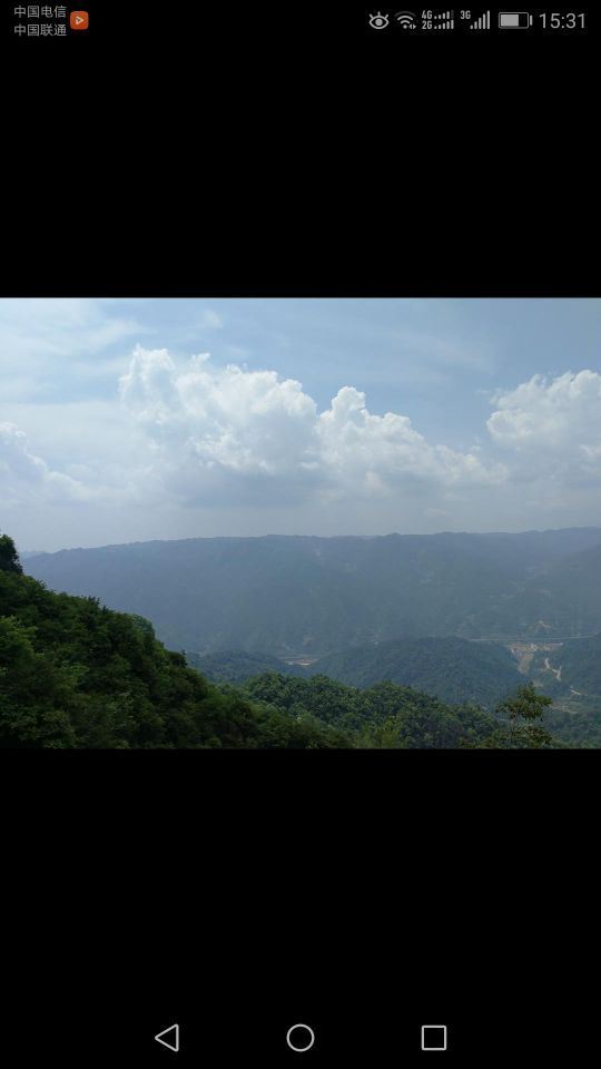 中亚楠木林景区