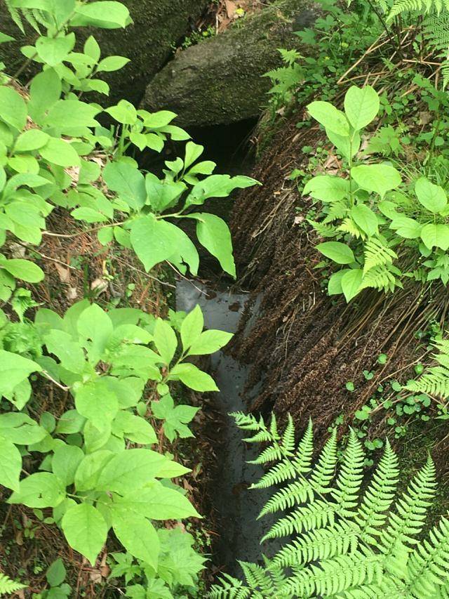 亚布力虎峰岭风景区
