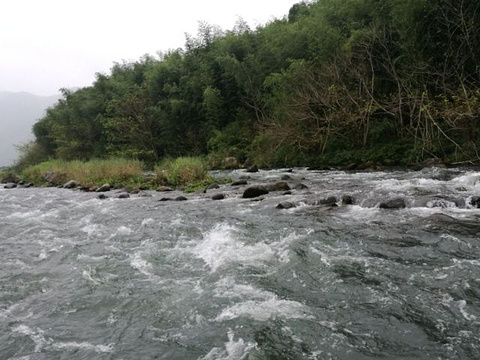 九鲤溪瀑旅游景点图片